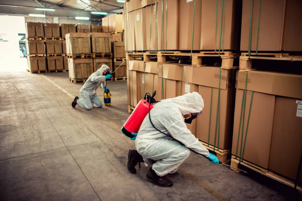 Best Mosquito Control Services  in Slidell, LA