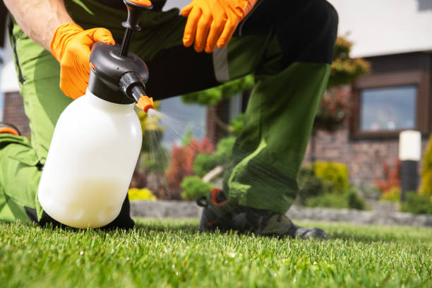 Professional Pest Control in Slidell, LA
