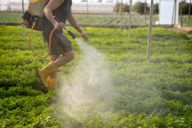 Best Wasp Removal Services  in Slidell, LA