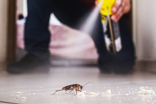 Best Cockroach Control Services  in Slidell, LA