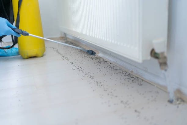 Slidell, LA Pest Control Company