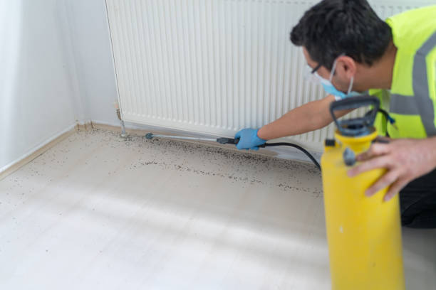 Best Pest Inspection Near Me  in Slidell, LA